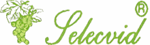 Selecvid
